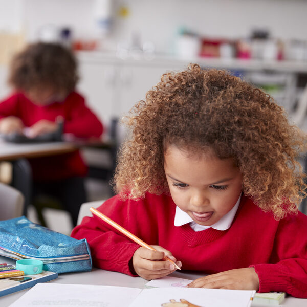Close up of mixed race schoolgirl sitting at desk in an infant school classroom drawing, vertical